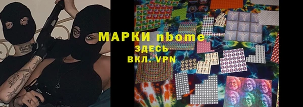 гидра Аркадак